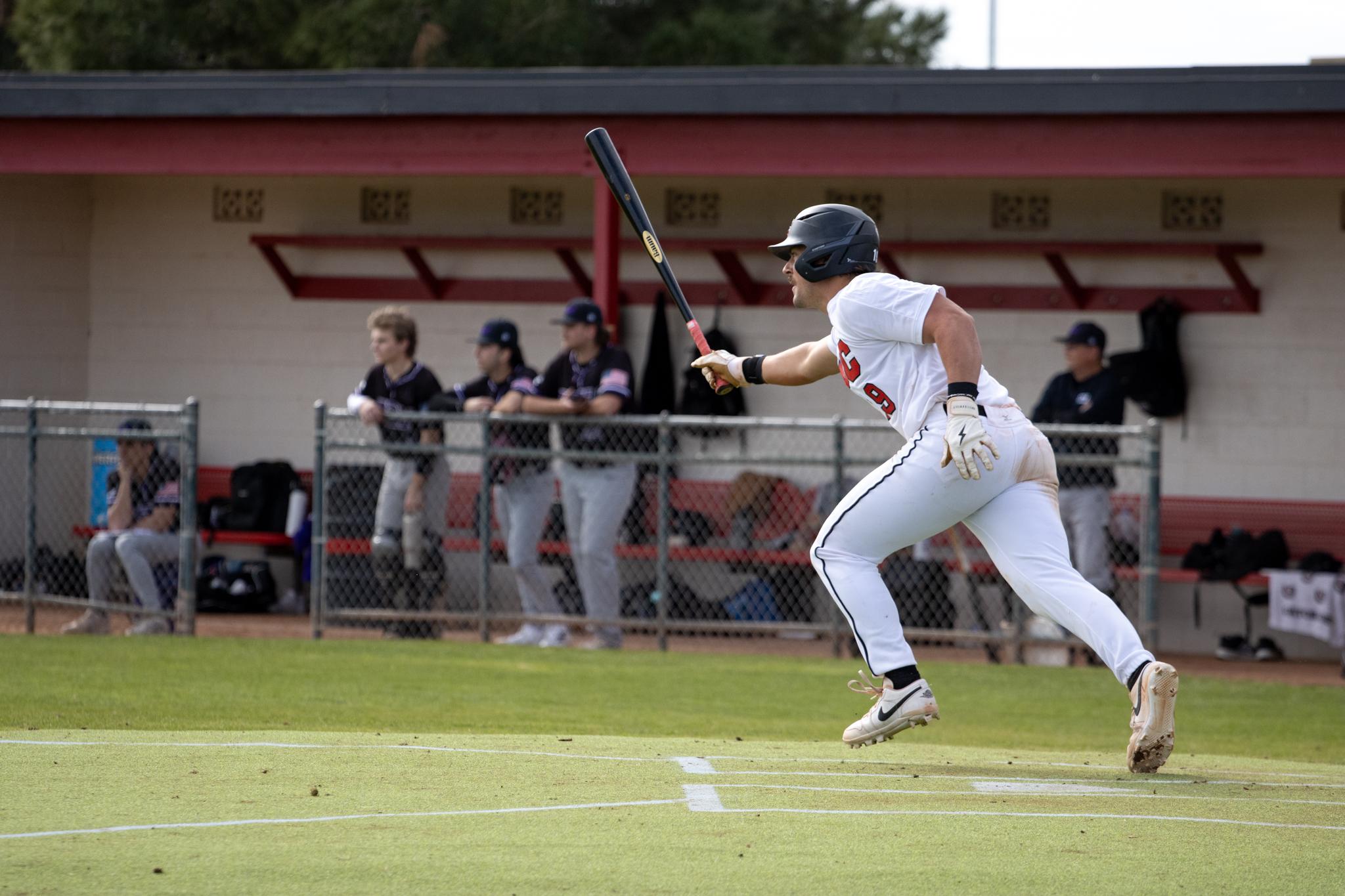Gauchos Split Weekend Set With Lamar